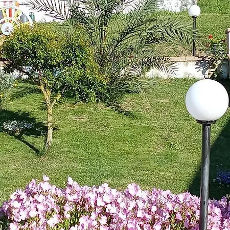 Bed & Breakfast Stella Del Cilento Raggio Di Sole 4*